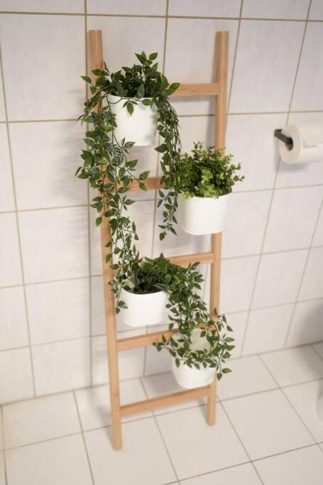 Altstadtwohnung Koblenz  Ngoại thất bức ảnh