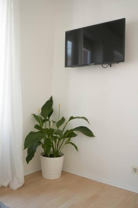 Altstadtwohnung Koblenz  Ngoại thất bức ảnh